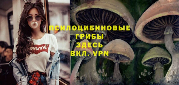 2c-b Вязьма