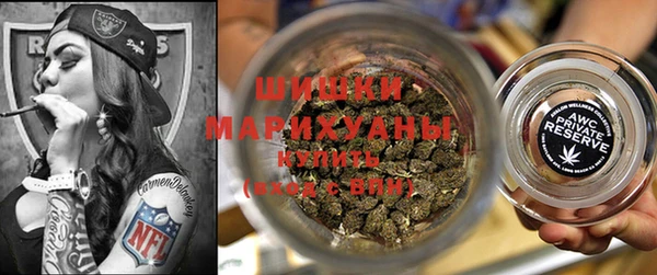 мдпв Горнозаводск