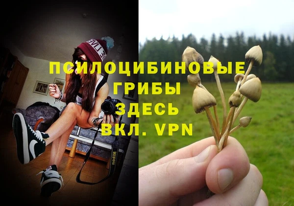 2c-b Вязьма